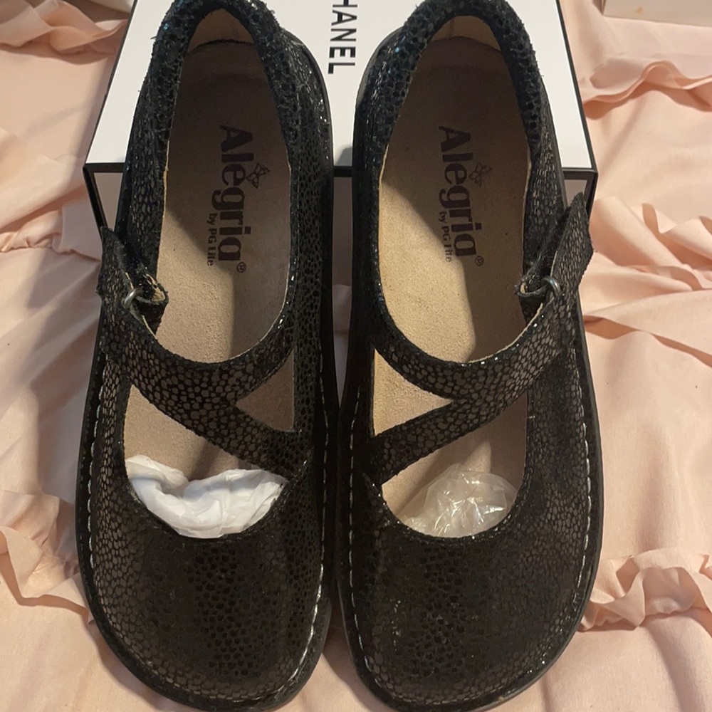 Algeria Paloma Flat